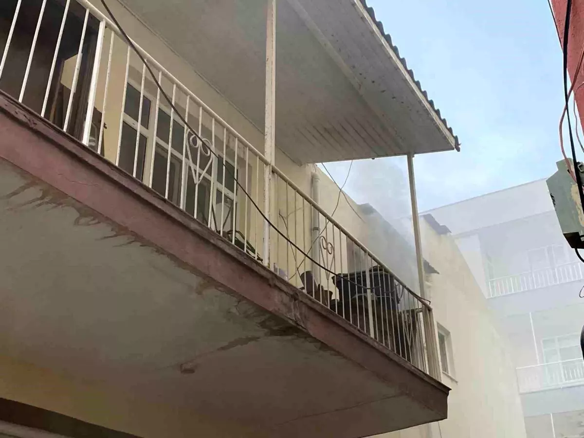 Antalya\'da Yangında Kuş Kurtarıldı