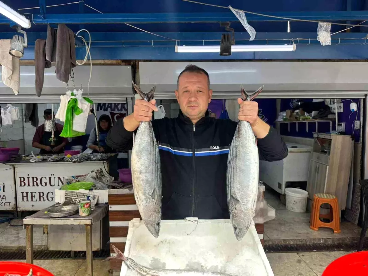 Balık Tezgahları Hareketlendi