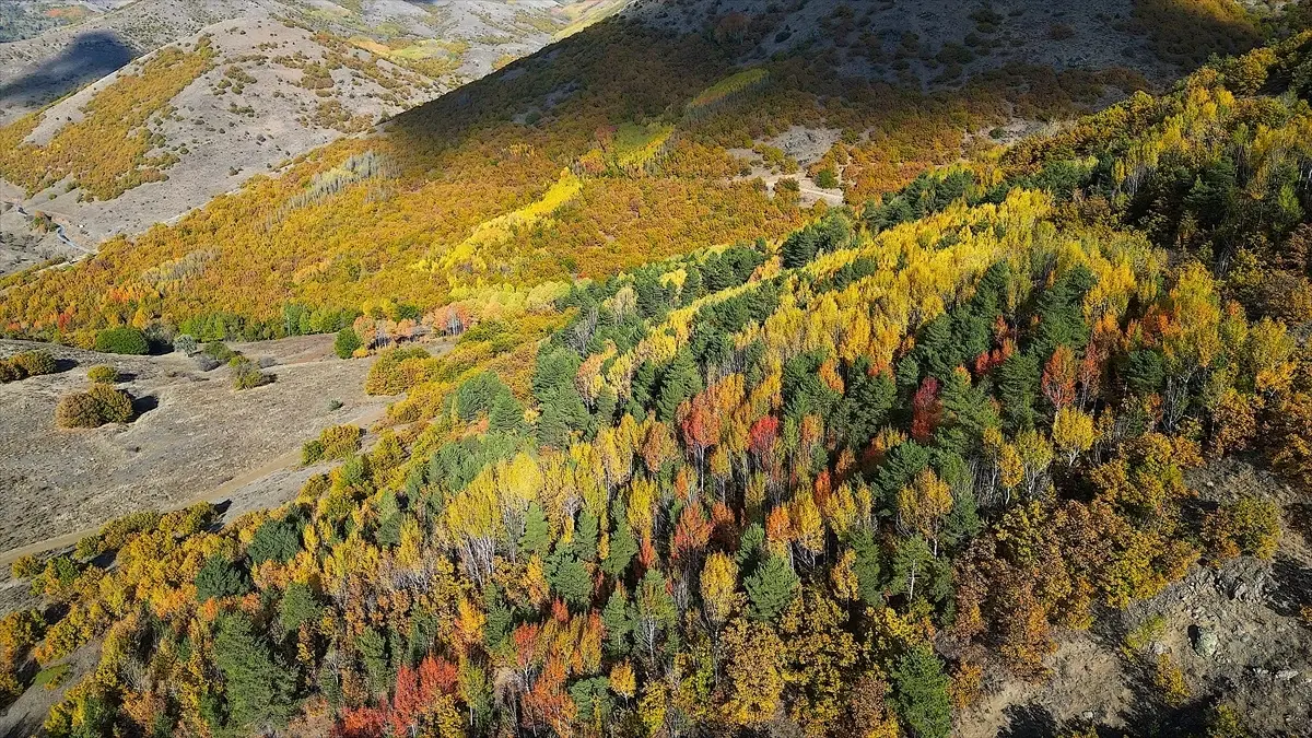 Bayburt\'ta Sonbahar Güzellikleri