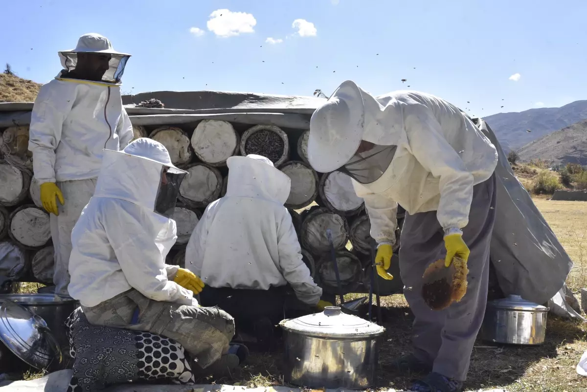 Bitlis\'te Kara Kovan Balı Hasadı Başladı