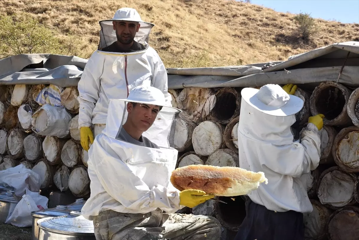 Karakovan Balı Hasadı Başladı