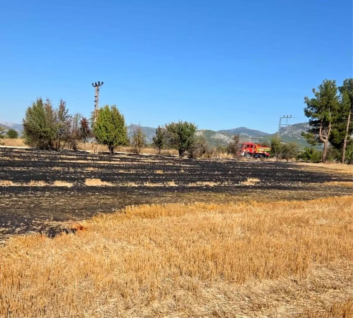 Bucak\'ta Otluk Yangını Kontrol Altına Alındı