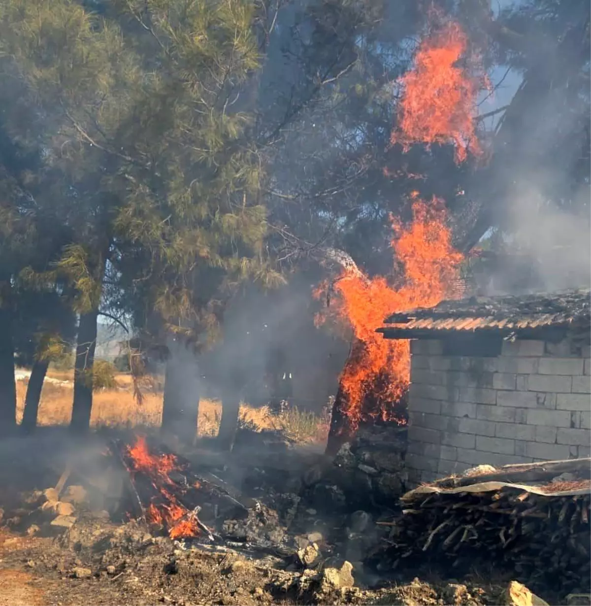 Bucak’ta Odunluk Yangını Kontrol Altına Alındı