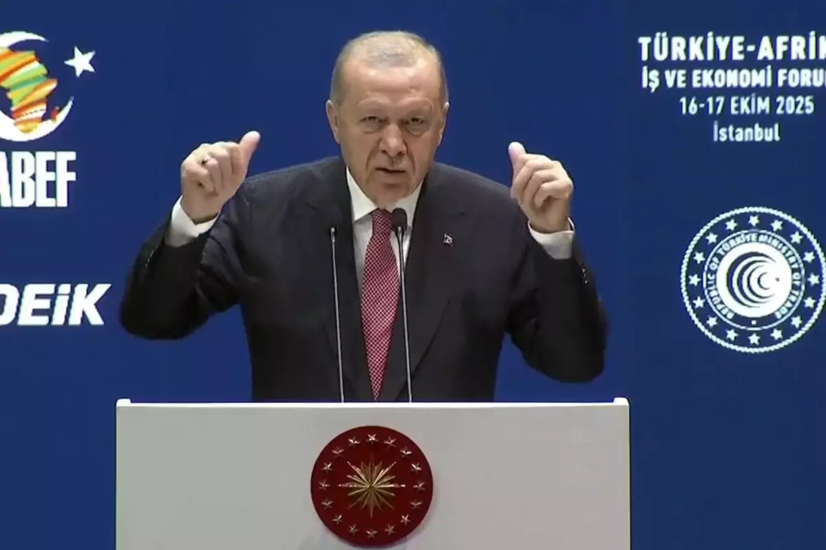 Cumhurbaşkanı Erdoğan, Afrikalılara Nazım Hikmet\'in dizeleriyle seslendi