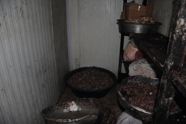 Gastronomi şehrinde mide bulandıran görüntüler! Düğünlere ve lokantalara vereceklerdi