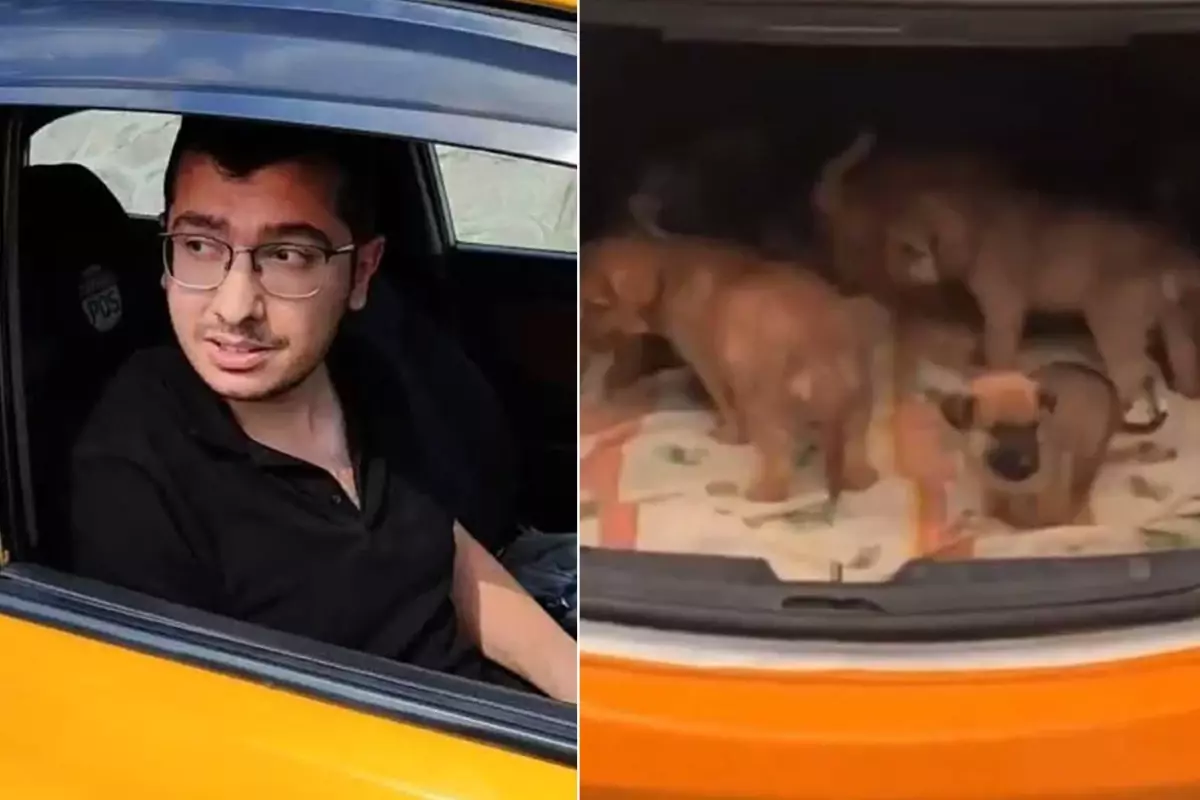 Köpeklere cinsel saldırıda bulunup öldüren doktora hapis cezası