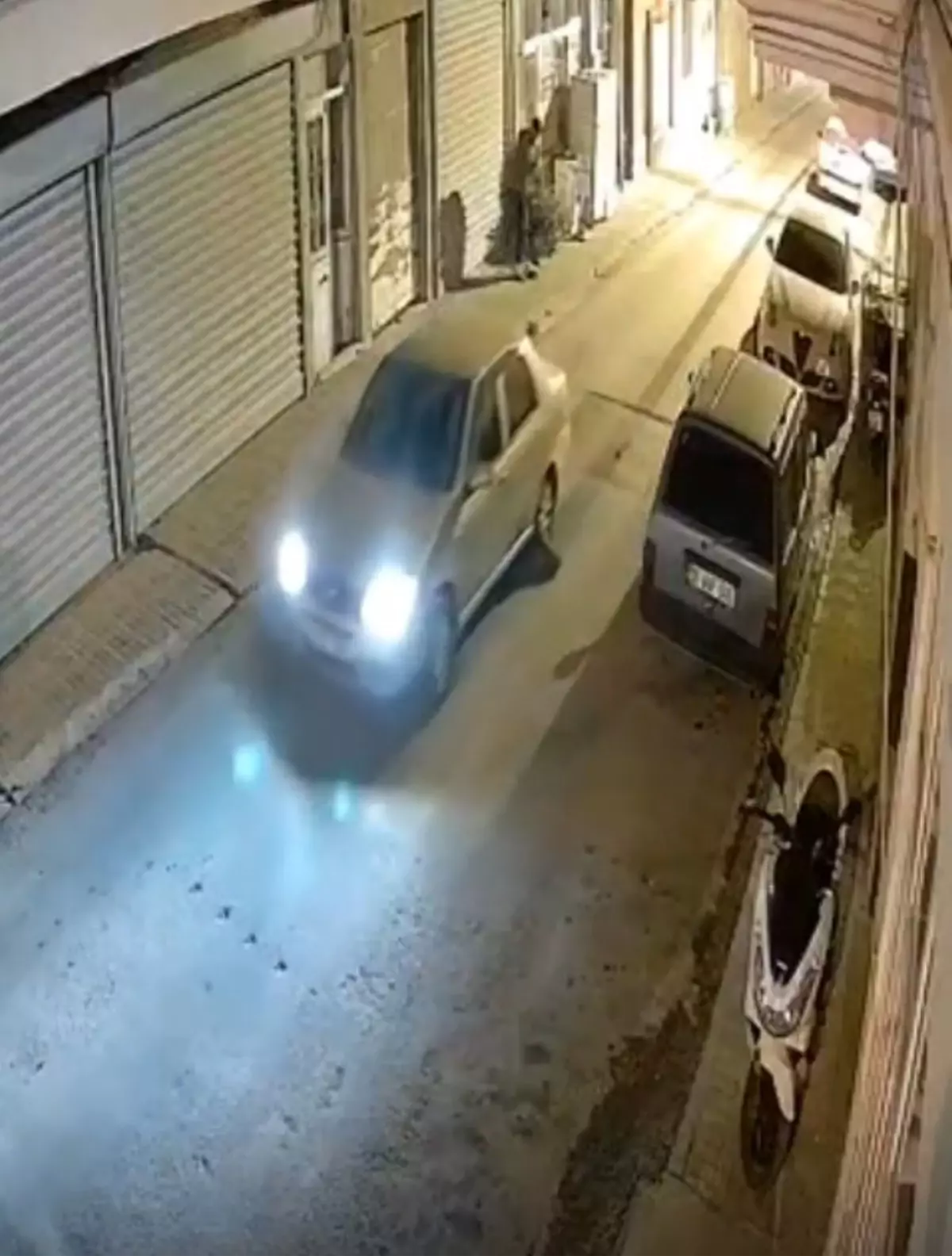 Oklu Kirpi Otomobilin Altında Kaldı