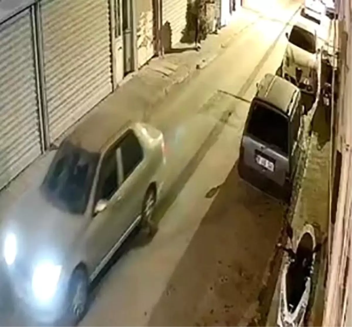 Oklu Kirpi Sürüklenerek Telef Oldu