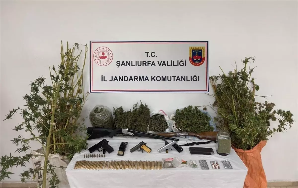 Şanlıurfa\'da Uyuşturucu Operasyonu