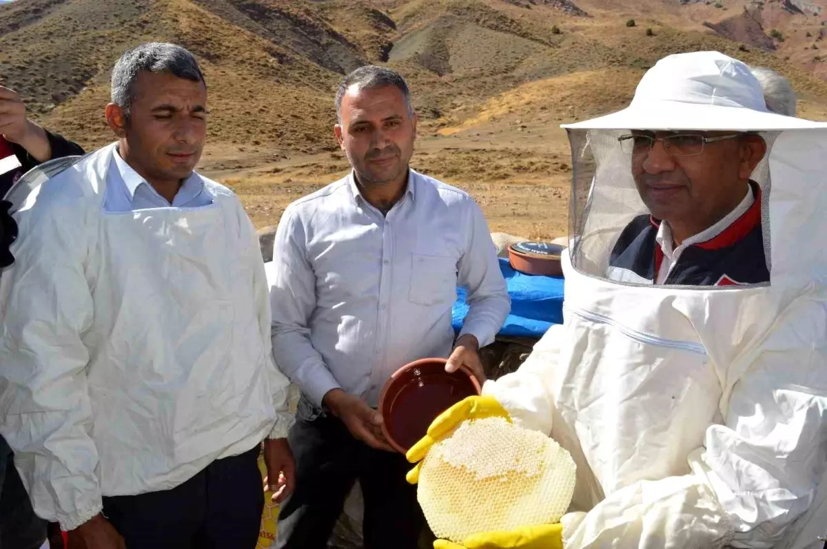 Pervari\'de Organik Bal Hasadı Yapıldı