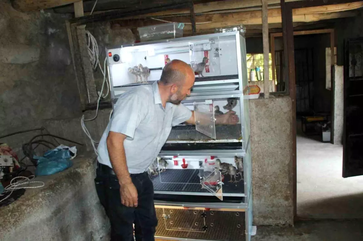 Uludere\'de Engelli Aileye Tavuk Çiftliği Desteği