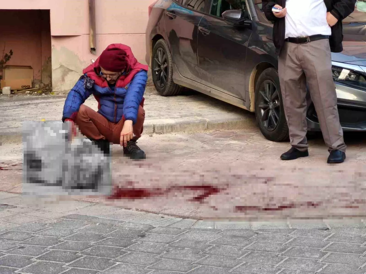 Denizli\'de Kardeş Kavgası: Bıçaklı Saldırı