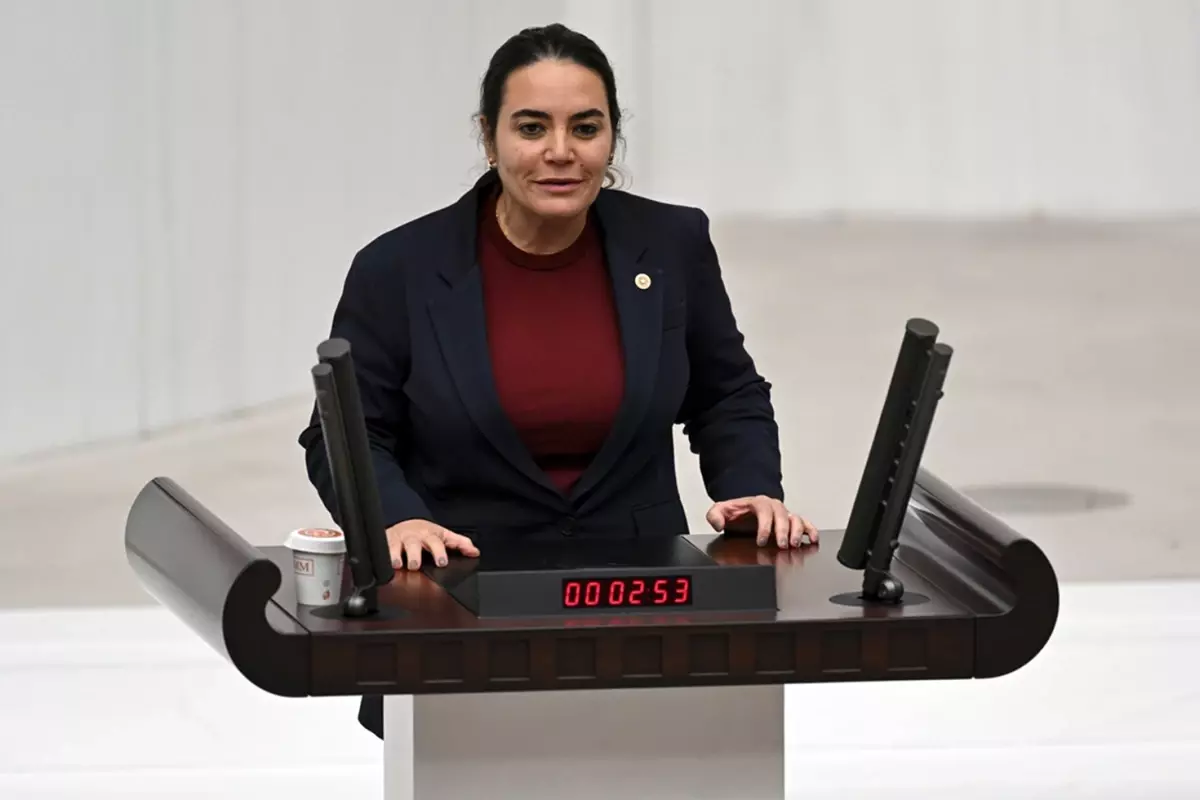 İYİ Partili Türkeş, Kurtulmuş\'un Kürtçe konuşmasına tahammül edemedi! Yaptığı çağrı skandal