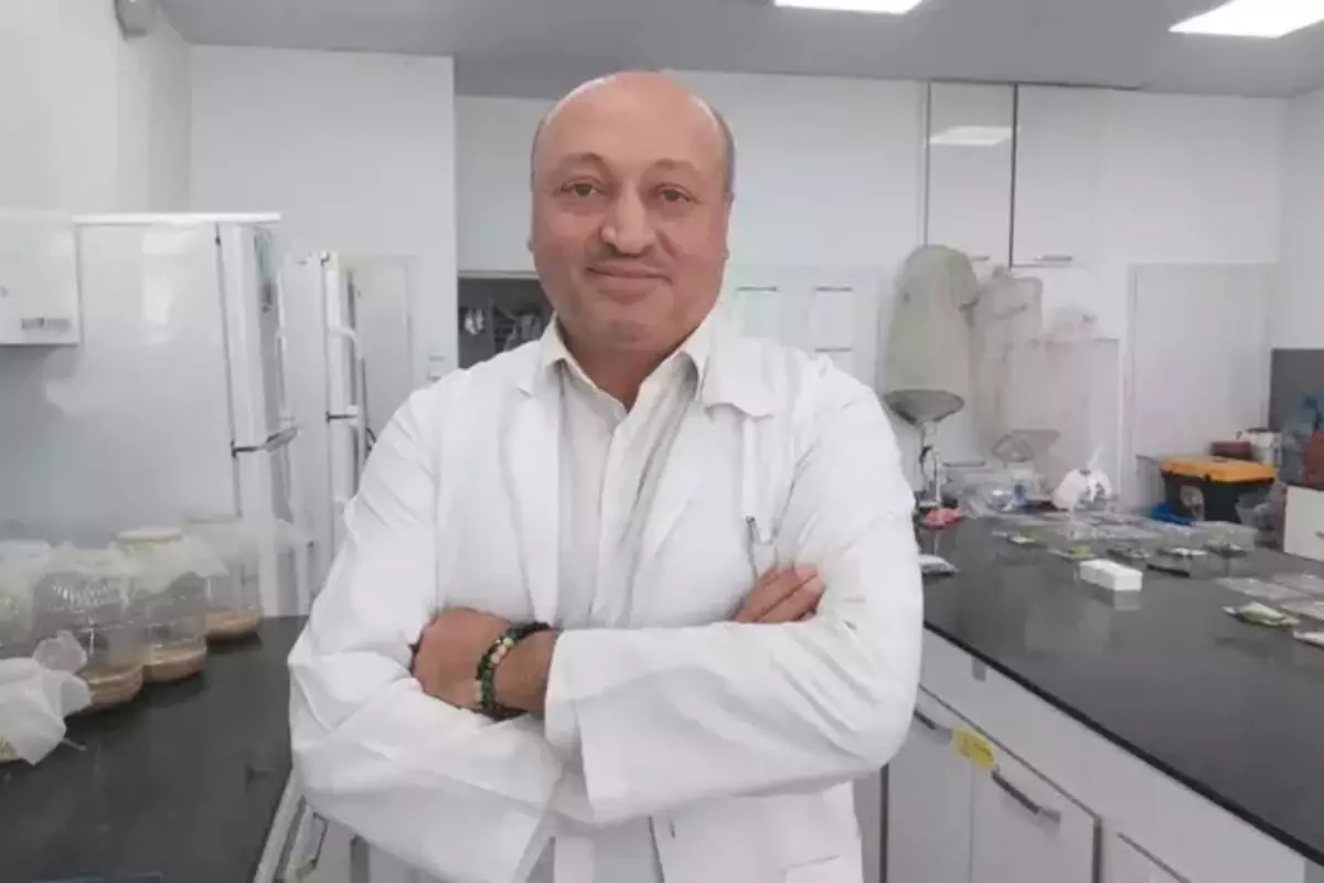 Türkiye\'yi saran kokarca kabusu için korkutan değerlendirme: Yok etme şansımız yok