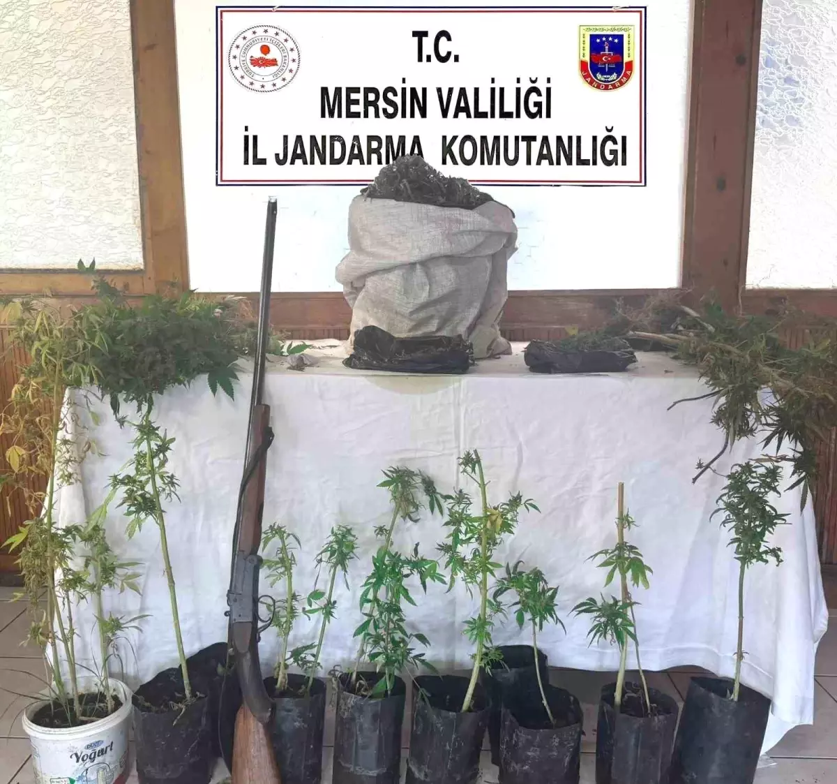 Mersin\'de Kenevir Operasyonu: 4 Kilo Esrar Ele Geçirildi