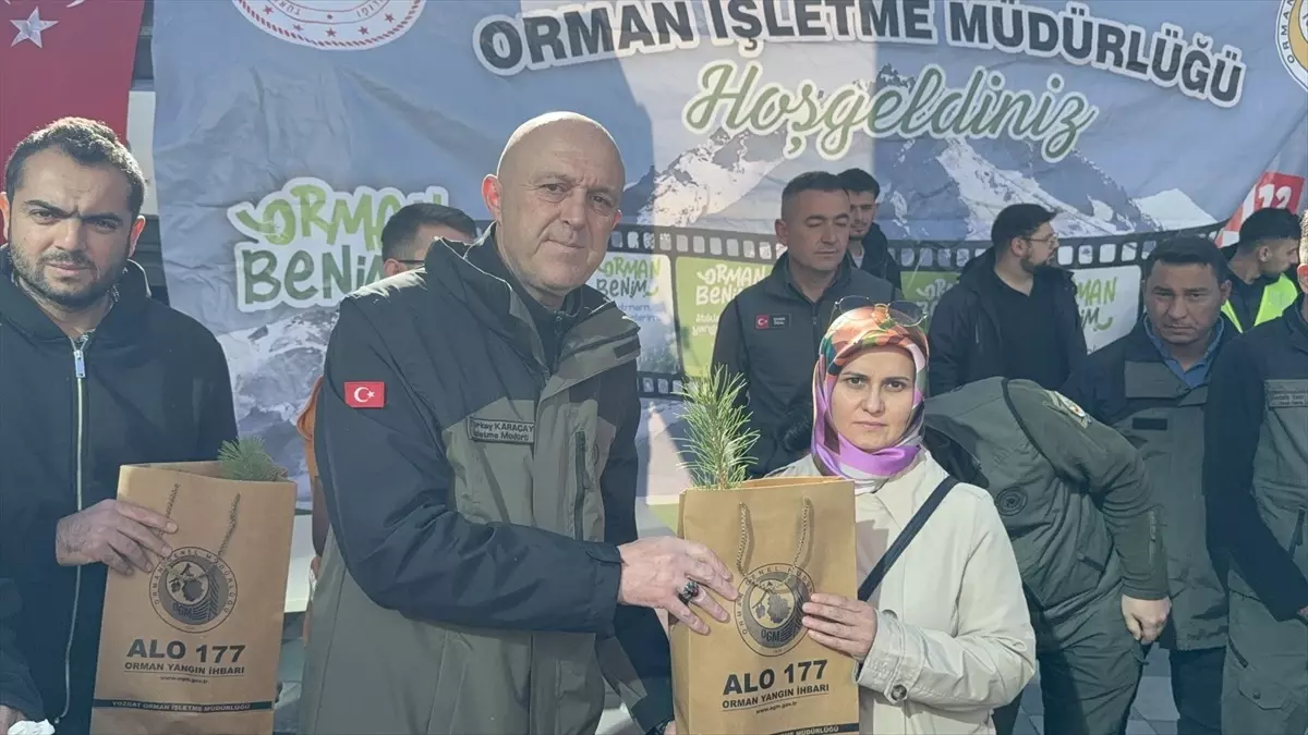 Yozgat\'ta Ücretsiz Fidan Dağıtımı