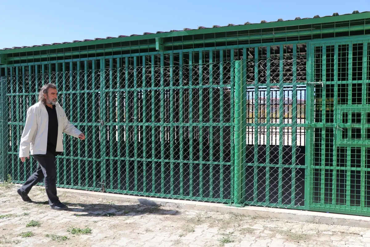 Zincirli Kurt Kurtarıldı