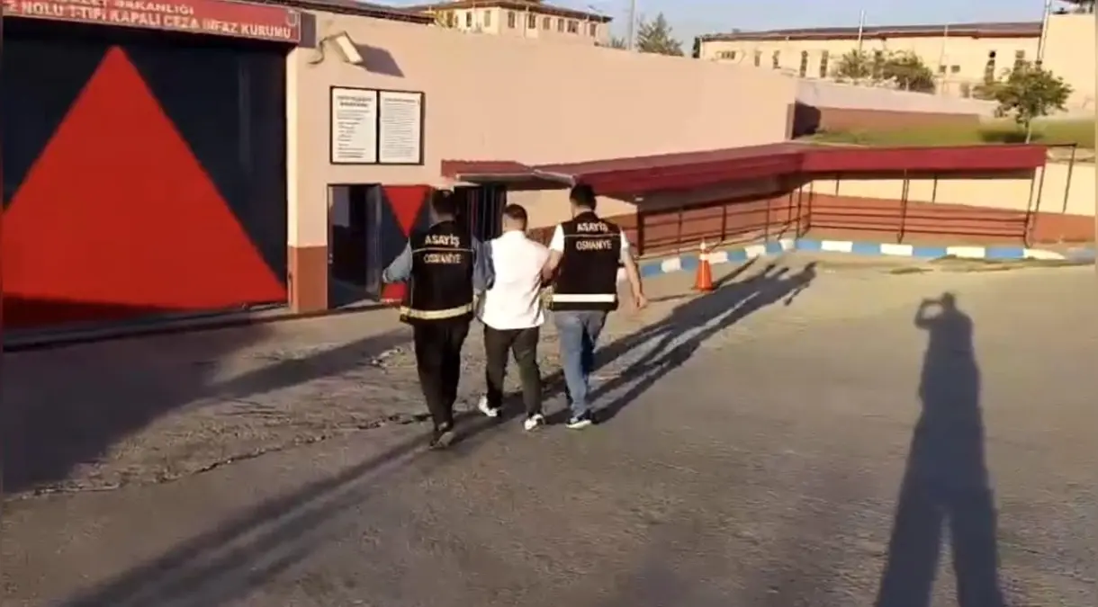 Depremde Zarar Gören Araçlar Piyasaya Sürüldü