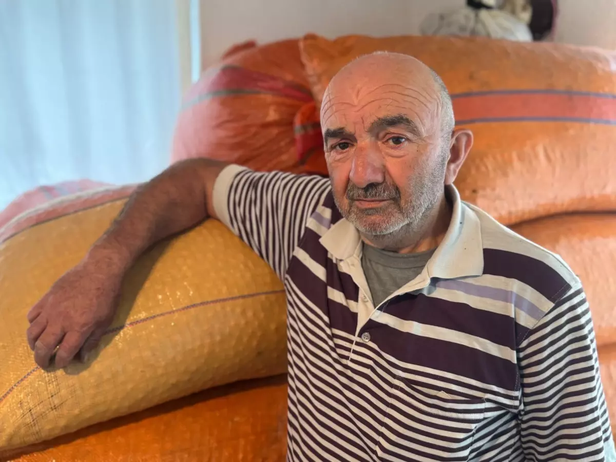 Fındık Üreticisi Beklemede