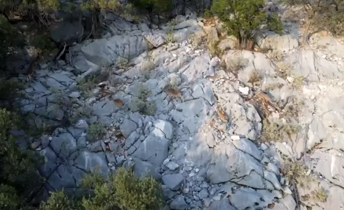 Eğirdir\'de Kaçak Avcı Dronla Yakalandı