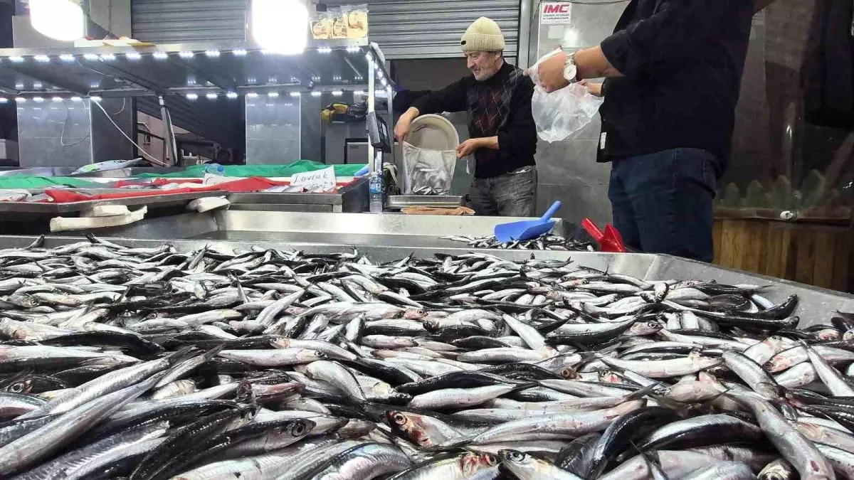 Bartın\'da Hamsi Fiyatları Düşüyor