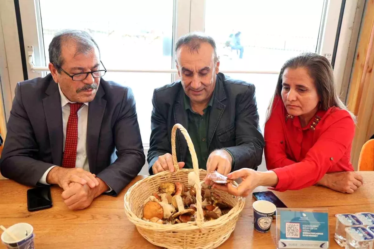 Düzce Üniversitesi\'nde Mantarların Gizemli Dünyası Etkinliği Gerçekleştirildi