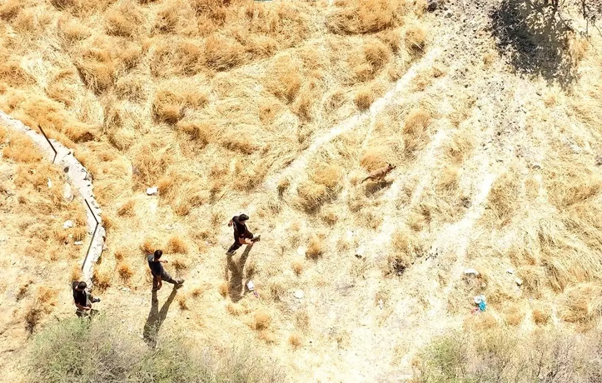 Siirt\'te Kayıp 83 Yaşındaki Adam İçin Arama Çalışmaları Devam Ediyor