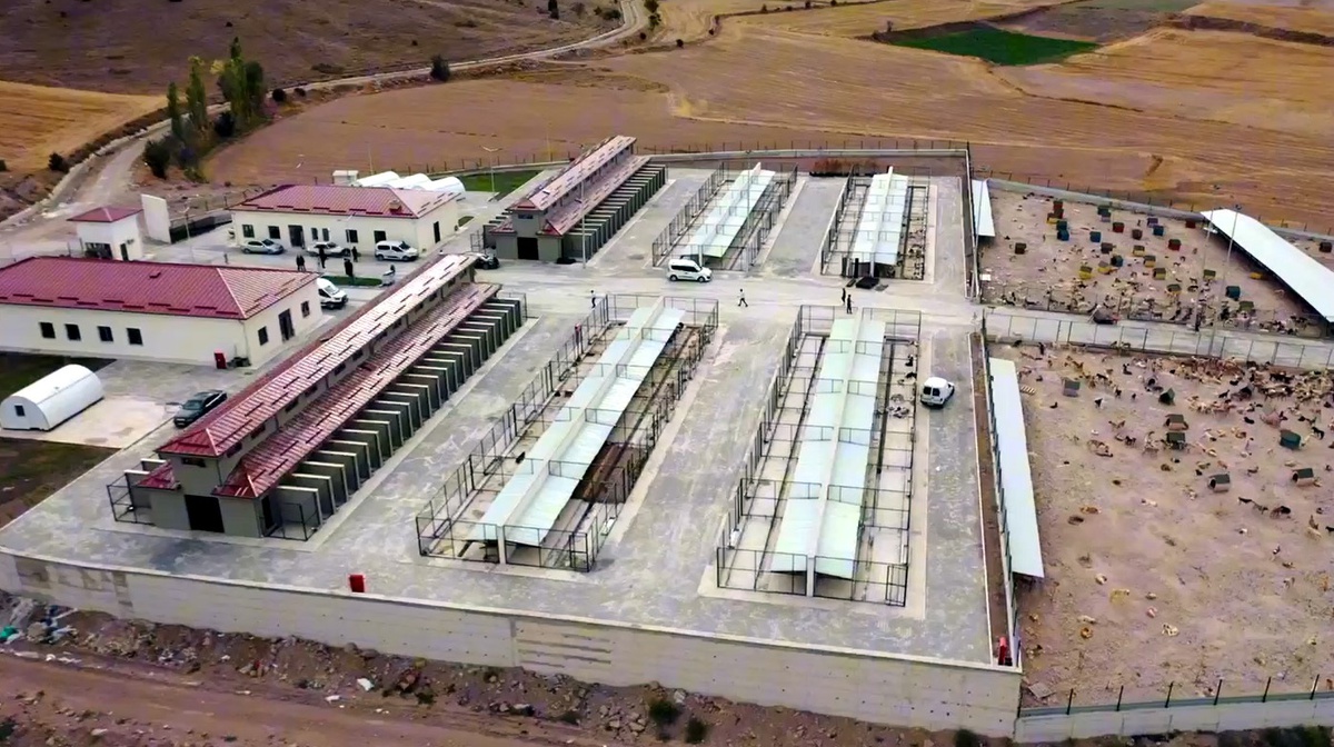 Tokat\'ta Hayvan Rehabilitasyon Merkezi Açıldı