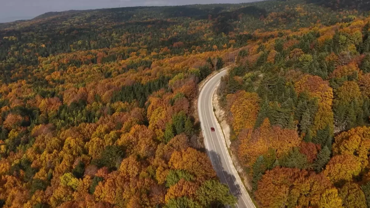 Uludağ\'da Sonbahar Güzelliği