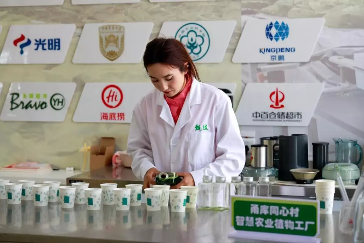 Xinjiang\'a Yatırımlar Artıyor