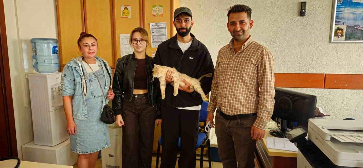 Evden Kaçan Kedi Mikroçip ile Bulundu
