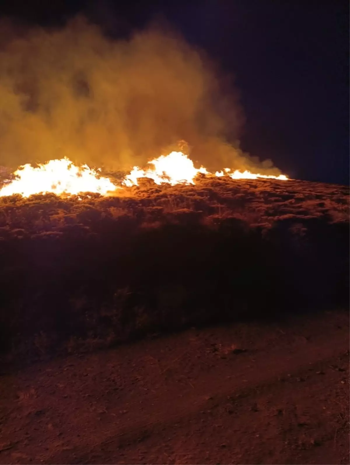 Hizan\'da Anız Yangını Kontrol Altına Alındı