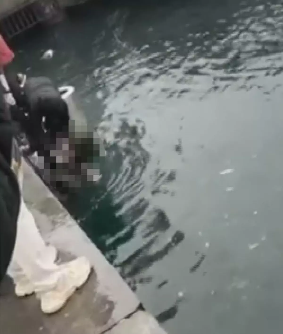 İstanbul\'da can pazarı! 4 engelli vatandaş denize düştü, biri hayatını kaybetti