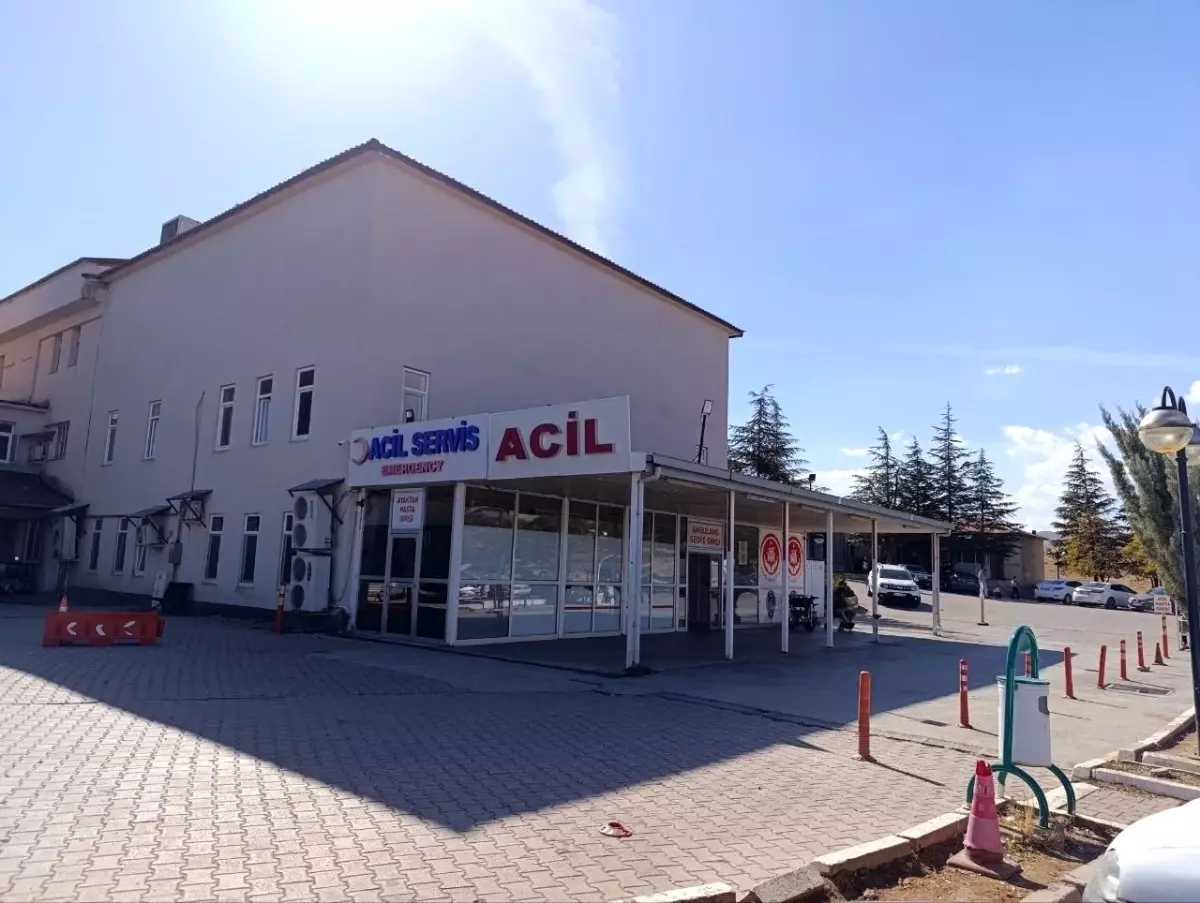 Afşin\'de Arı Sokması Nedeniyle 9 Yaşındaki Kız Hayatını Kaybetti