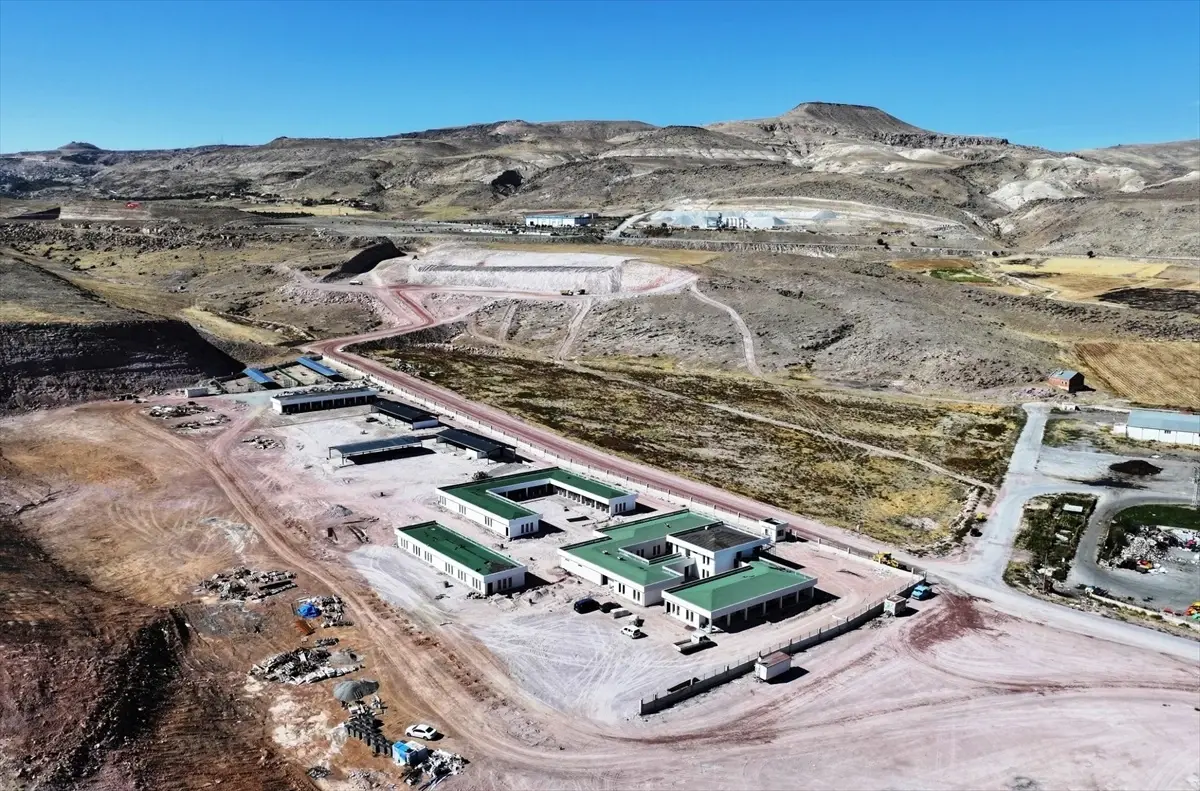 Kocasinan\'da Hayvan Bakımevi Kurulacak