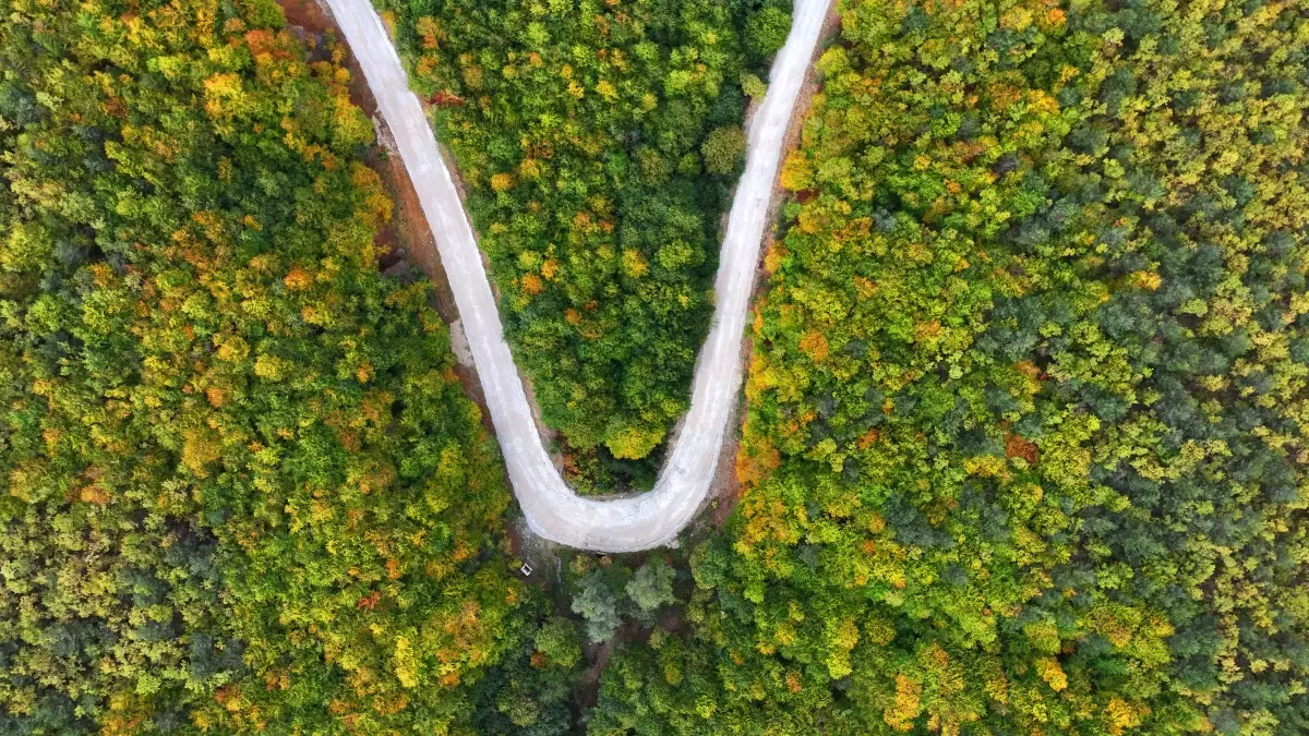 Sonbahar Renkleri Sakarat Yaylası\'nda