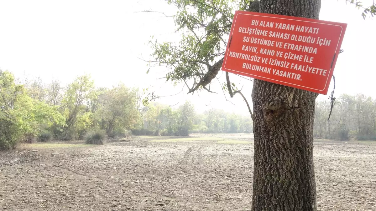 Karacabey Longozu Kuruyor