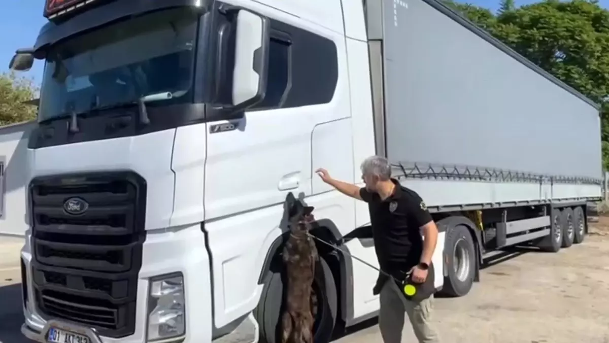 Adana\'da 55 Kilogram Skunk Ele Geçirildi