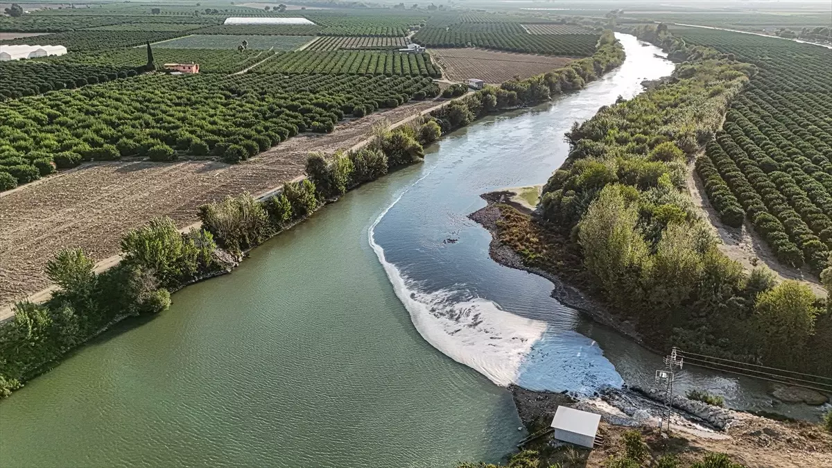 Ceyhan Nehri\'nde Balık Ölümleri İnceleniyor