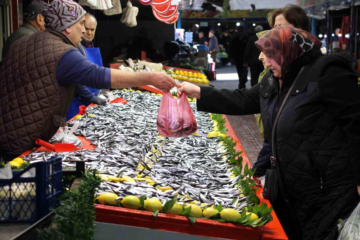 Bolu\'da Hamsi Fiyatları Düştü