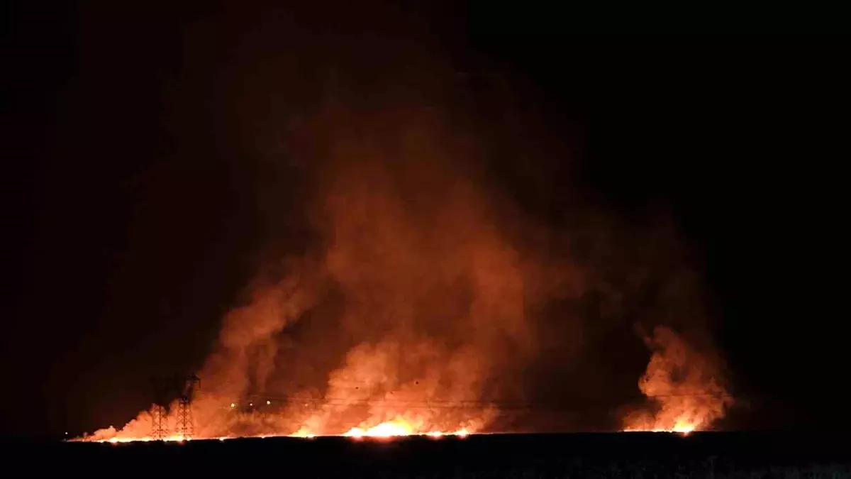 Hakkari\'de Nehil Sazlığı\'nda Yangın: Alevler Köylere Yaklaşıyor