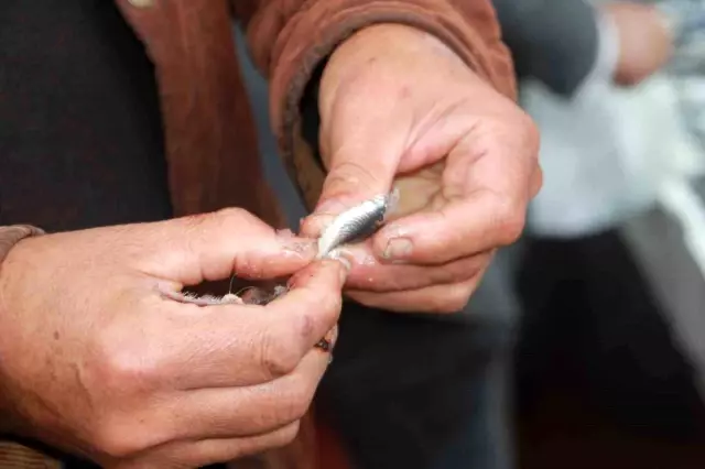 Fiyatı 300 TL'den 70 TL'ye düşünce çiğ çiğ yedi