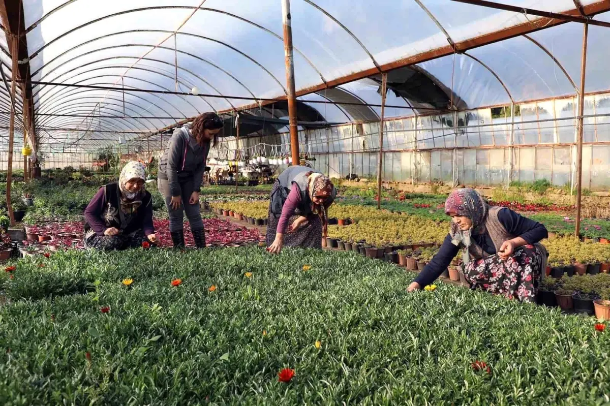 Muğla Büyükşehir Belediyesi\'nden Kadın Kooperatiflerine Destek