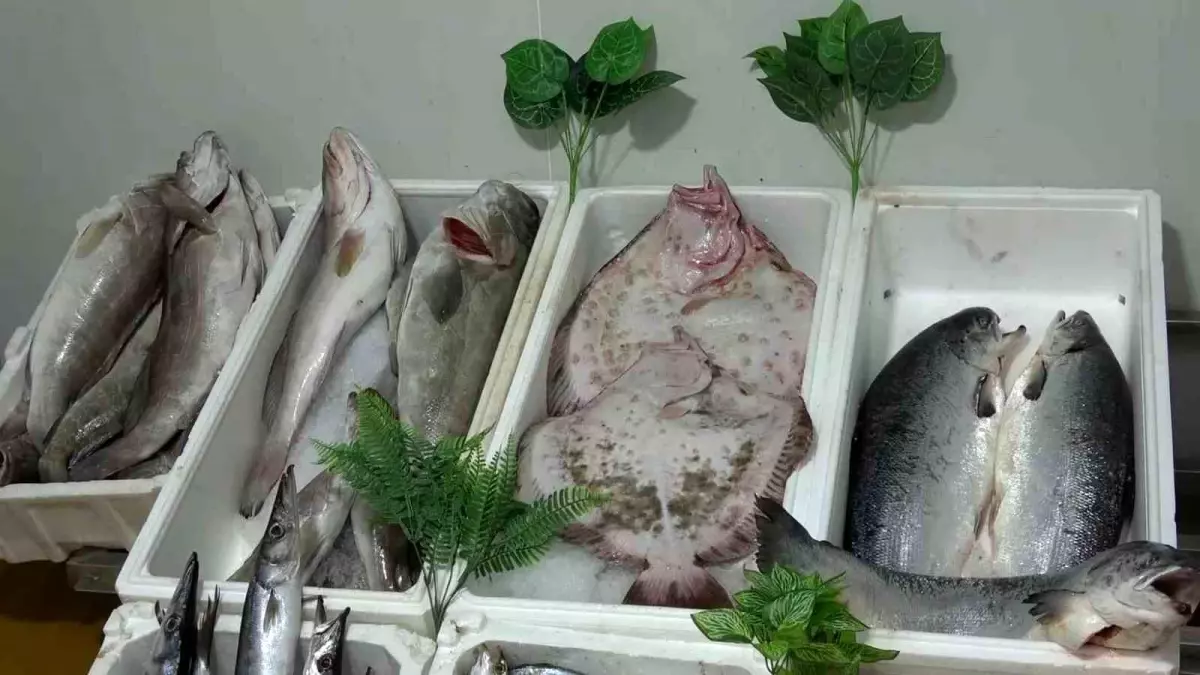 Gaziantep\'te Balık Tüketimi Zirve Yapıyor