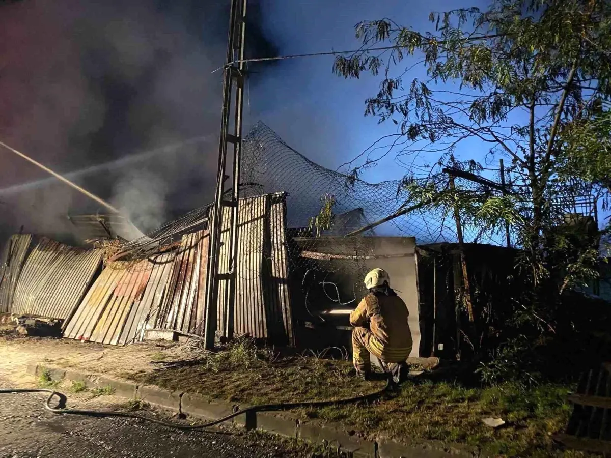 Küçükçekmece\'de Yangın: Elektrik Tellerine Sıçradı