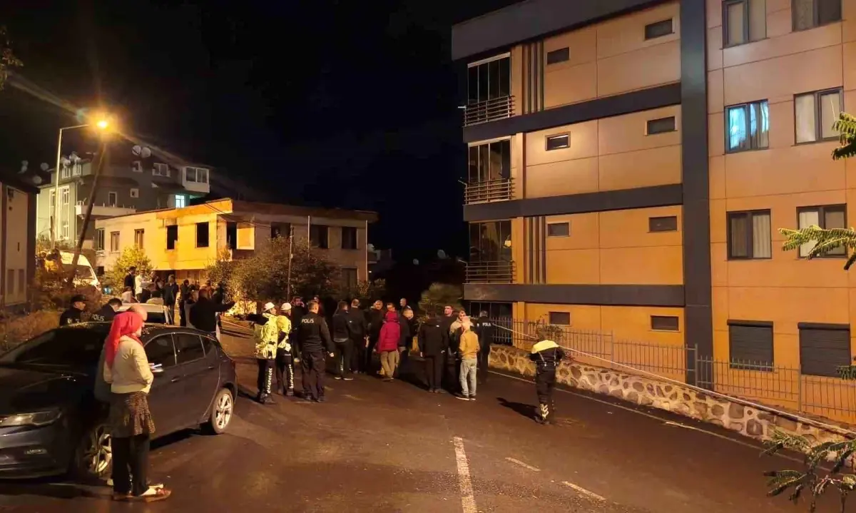 Ordu\'da 2 Bina Tahliye Edildi