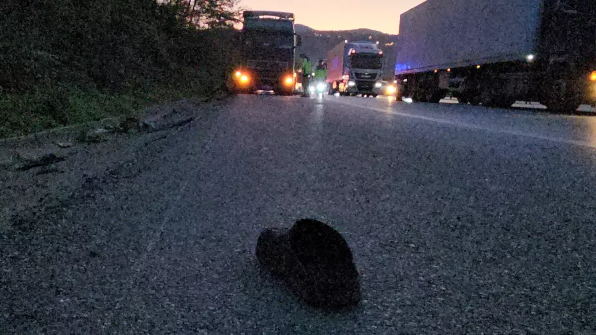 Sapanca\'da TIR Kazası: Genç Sürücü Hayatını Kaybetti