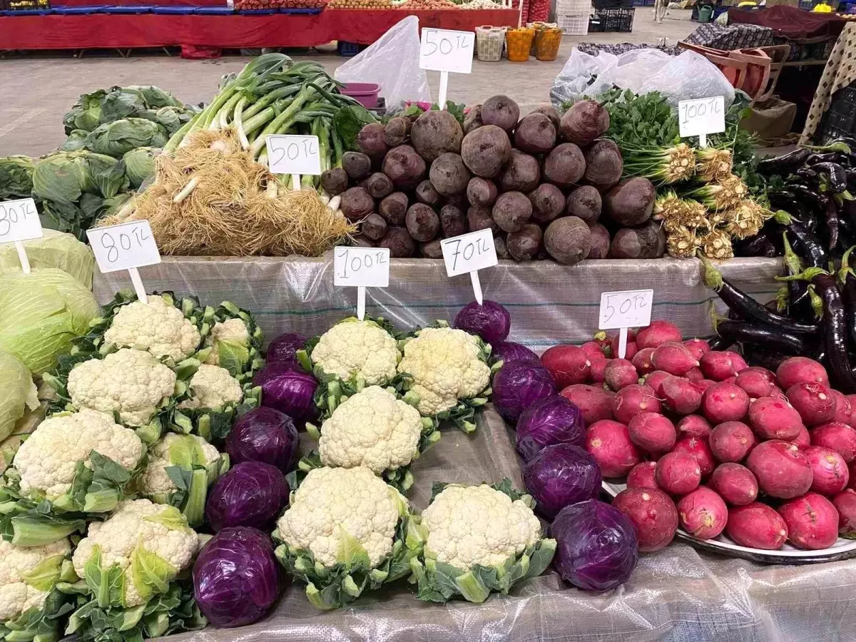 Son Sebzeci Ata Tohumlarıyla Hasat Yaptı