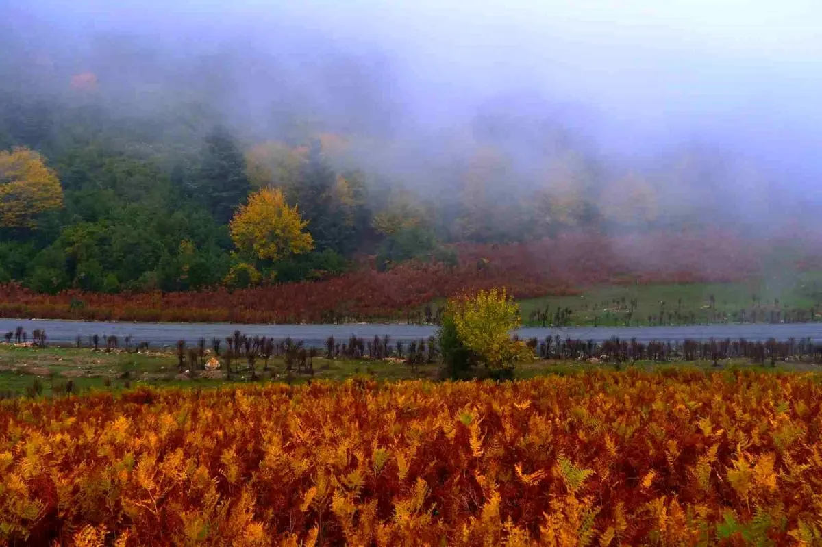Sakarya\'da Sonbahar Doğa Yürüyüşü Heyecanı