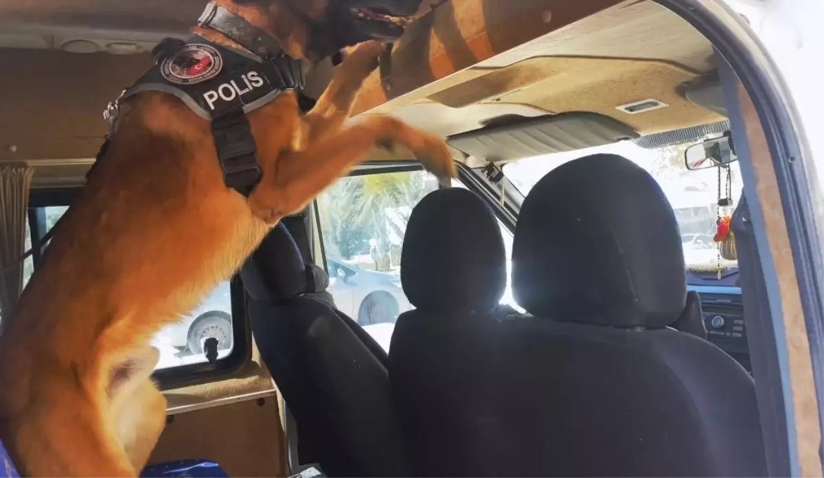 Van\'da Uyuşturucu Operasyonu